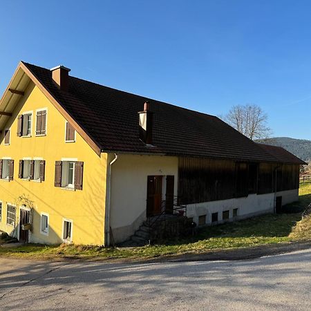 Chalet Cosy Lisiere De Foret Xonrupt-Longemer Εξωτερικό φωτογραφία