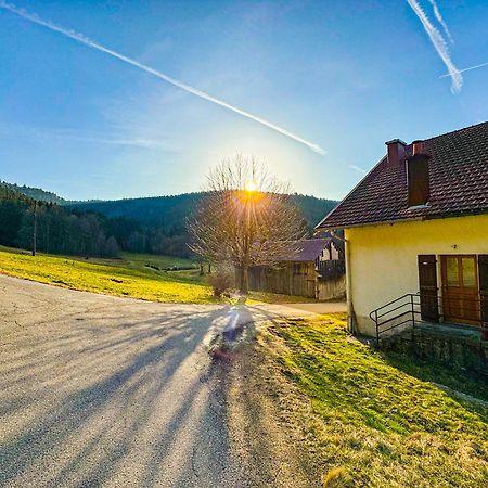 Chalet Cosy Lisiere De Foret Xonrupt-Longemer Εξωτερικό φωτογραφία