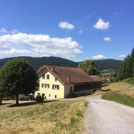 Chalet Cosy Lisiere De Foret Xonrupt-Longemer Εξωτερικό φωτογραφία