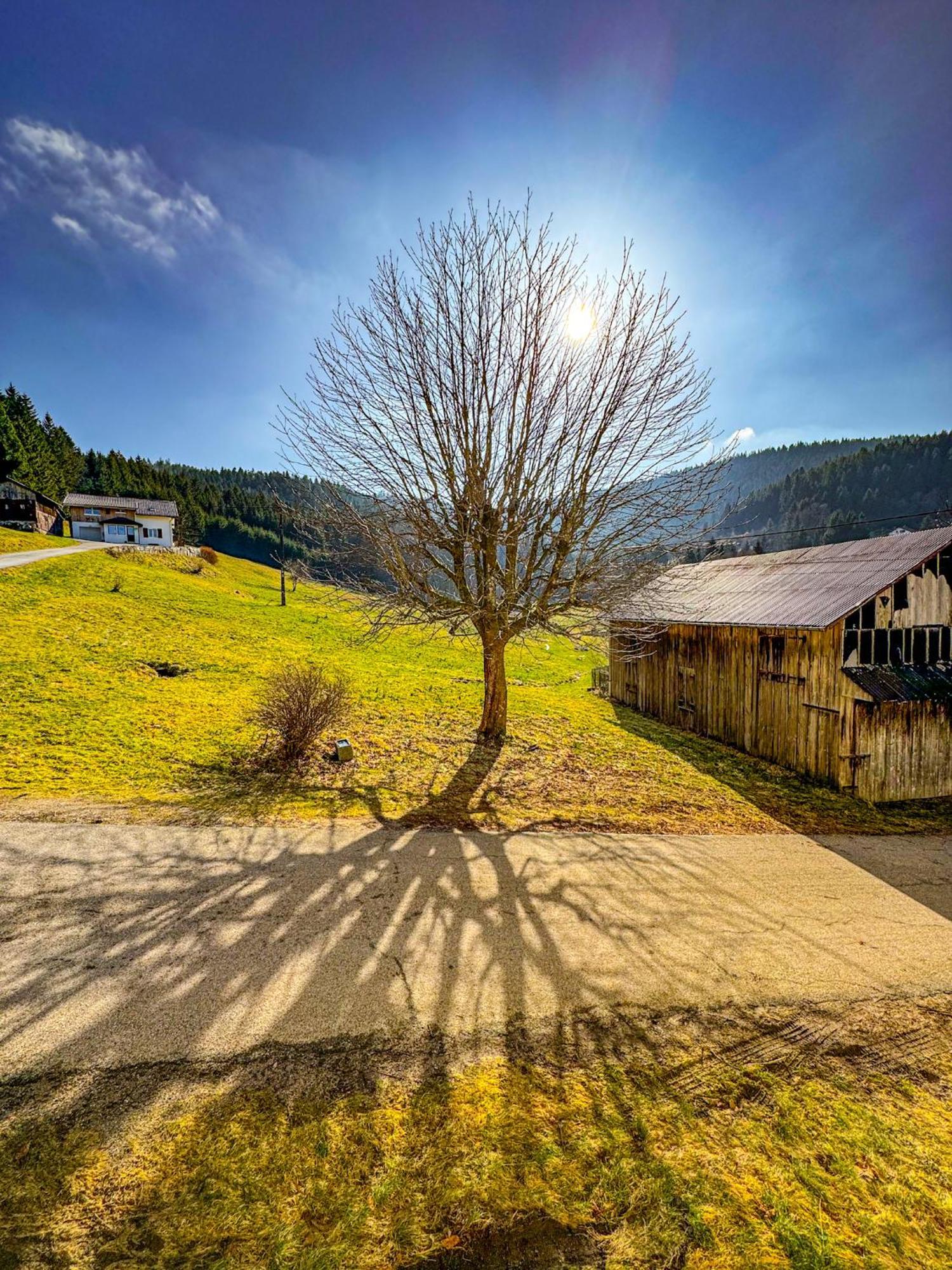 Chalet Cosy Lisiere De Foret Xonrupt-Longemer Εξωτερικό φωτογραφία