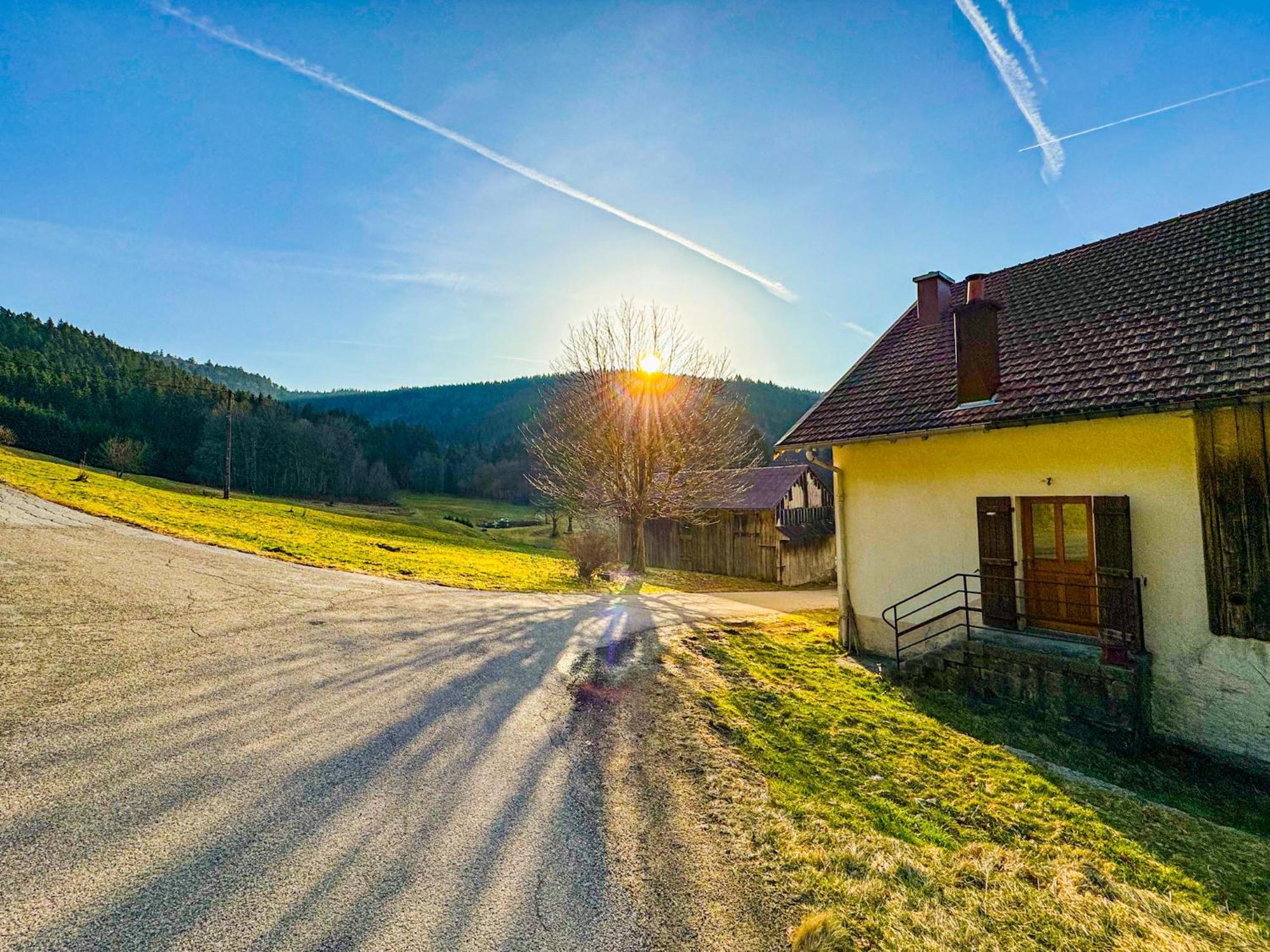 Chalet Cosy Lisiere De Foret Xonrupt-Longemer Εξωτερικό φωτογραφία