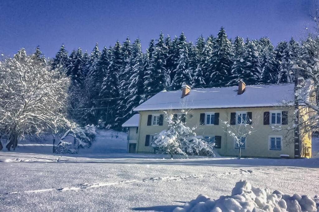 Chalet Cosy Lisiere De Foret Xonrupt-Longemer Εξωτερικό φωτογραφία