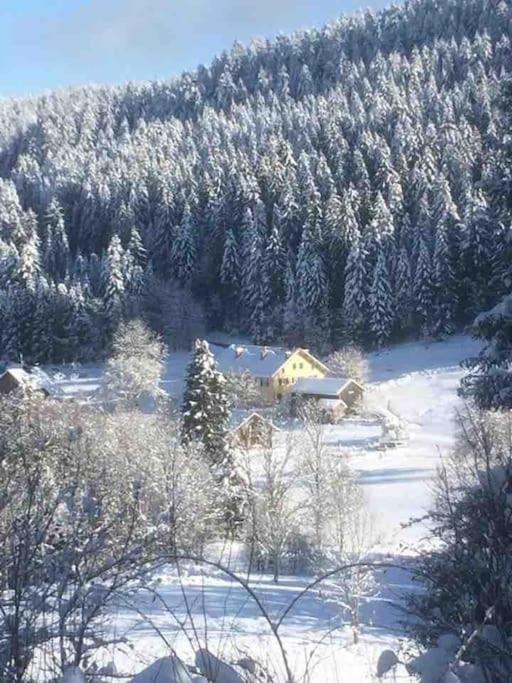 Chalet Cosy Lisiere De Foret Xonrupt-Longemer Εξωτερικό φωτογραφία