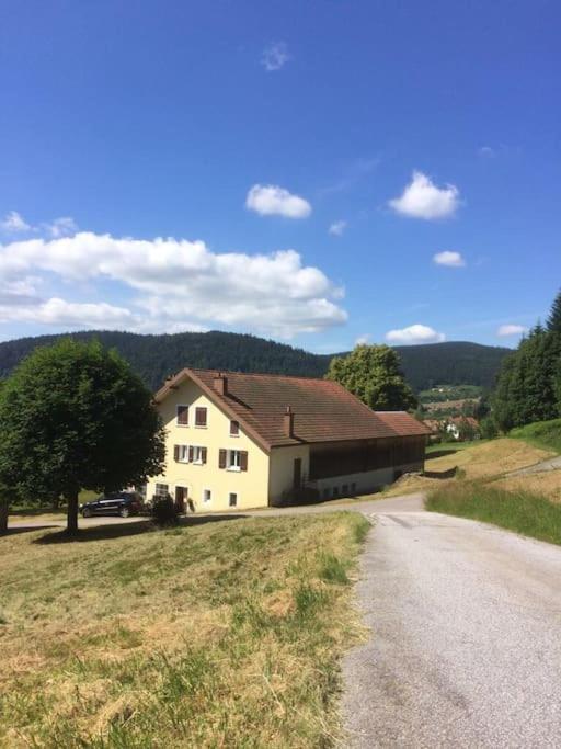 Chalet Cosy Lisiere De Foret Xonrupt-Longemer Εξωτερικό φωτογραφία