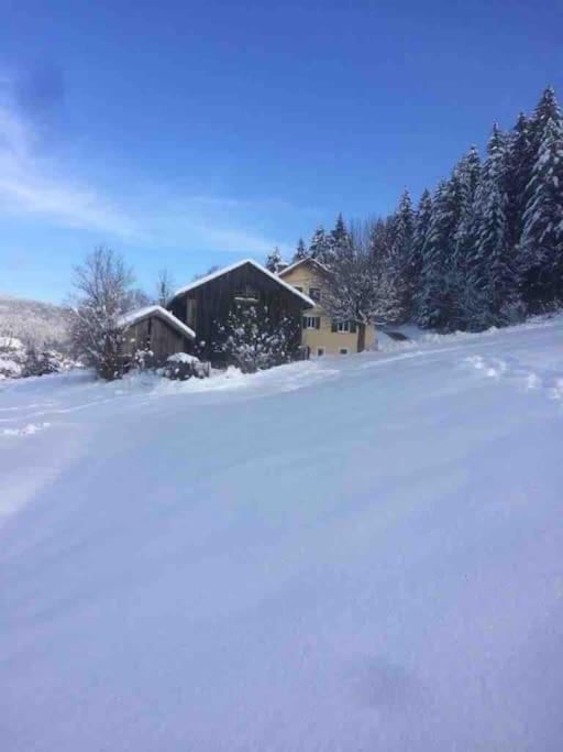 Chalet Cosy Lisiere De Foret Xonrupt-Longemer Εξωτερικό φωτογραφία