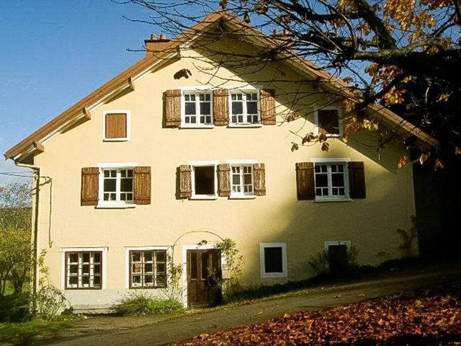 Chalet Cosy Lisiere De Foret Xonrupt-Longemer Εξωτερικό φωτογραφία