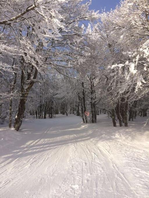 Chalet Cosy Lisiere De Foret Xonrupt-Longemer Εξωτερικό φωτογραφία